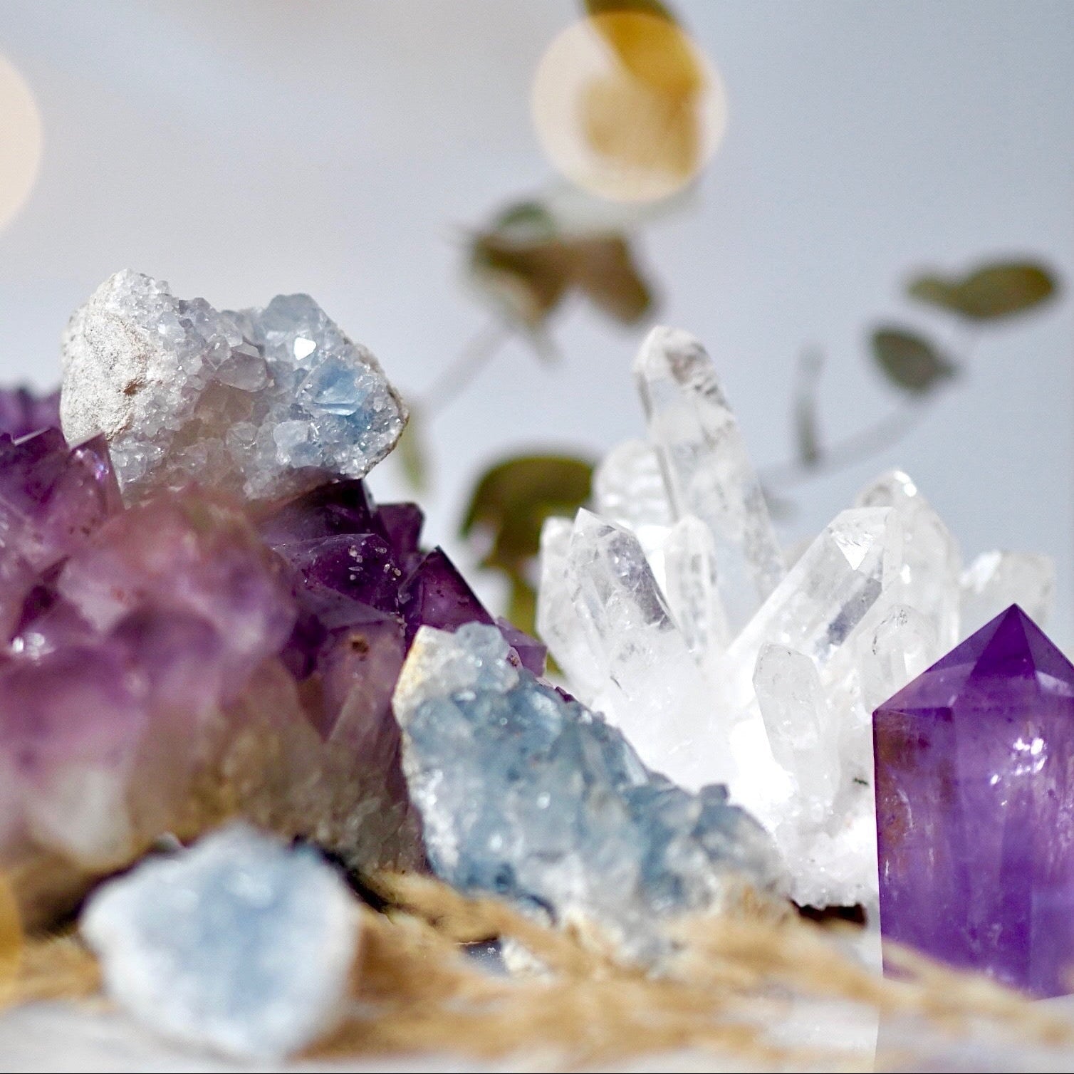 Crystal Layout mit Jana
