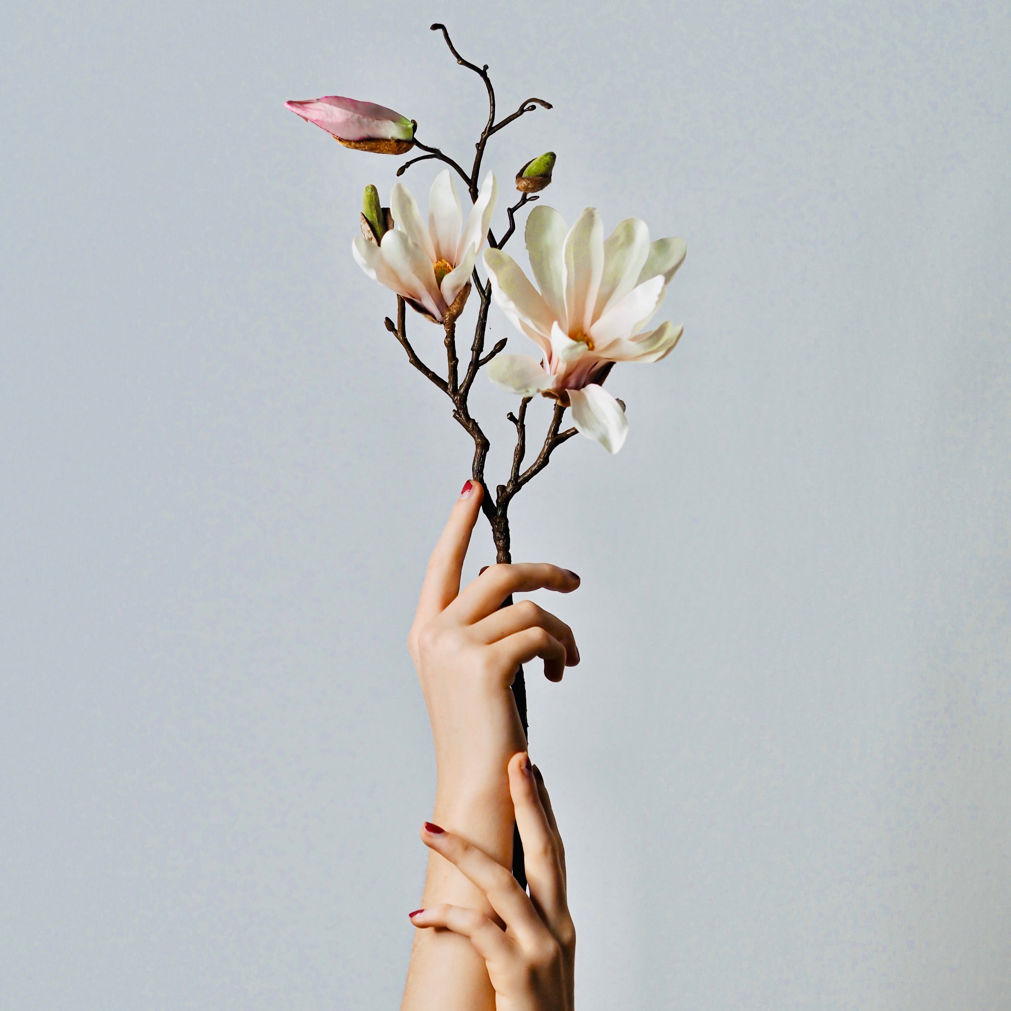 Aufbau DNA - online -